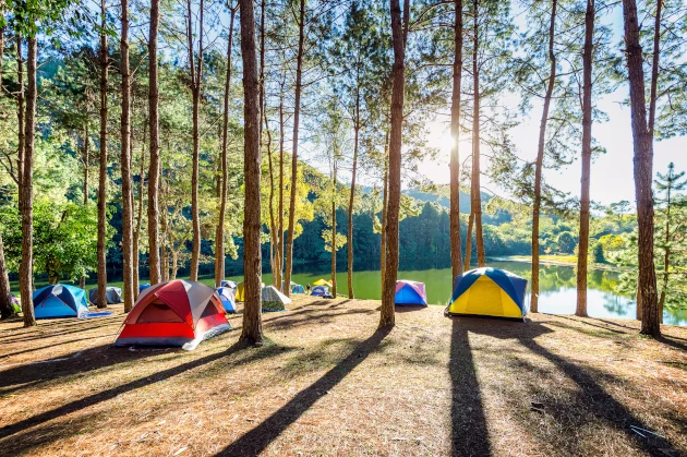 Promouvoir votre camping sur Internet avec le SEO pour gagner en visibilité sur Google